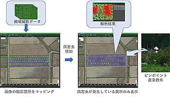 スマート農業で特産物の生産力強化、オプティムと丹波県民局の共同事業