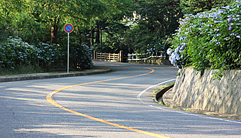 NTT西日本と静岡県焼津市、AIを活用し路面状態を診断する実証を開始