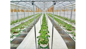 LINE WORKSが農業ICTと連携、スマホを使ったスマート農業が実現