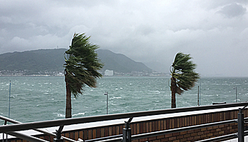 台風15号対策として有効、テレワーク・デイズ2019に参加した三谷産業