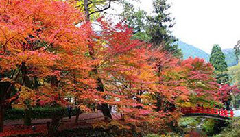 長門市と日立システムズ、Wi-Fi整備で経済効果を実感できる観光振興実現へ