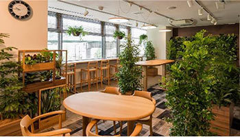 植物に囲まれた空間は仕事に影響を与えるか? 各社が検証を開始