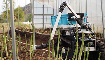 鎌倉の農業ベンチャーinaho、野菜収穫ロボットで農業自動化に挑戦する