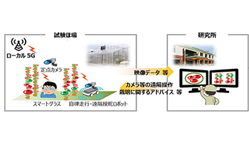東京都とNTT東日本など、ローカル5G活用の最先端農業で連携
