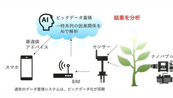 日本IBMとカクイチ、スマート農業システムで連携