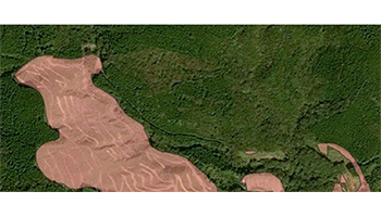 人工衛星とAIで自治体の森林管理を効率化するクラウドサービス、パスコ