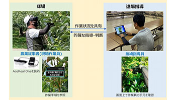 NTTドコモ、スマートグラスを活用した農業遠隔指導の実証実験