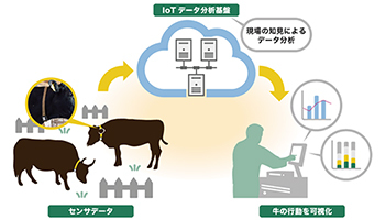 牛の分娩兆候を自動検知する分娩アラート、デザミスとNTTテクノクロスが共同開発