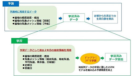 AIでレタスの生育予測、日立ソリューションズ東日本が実証