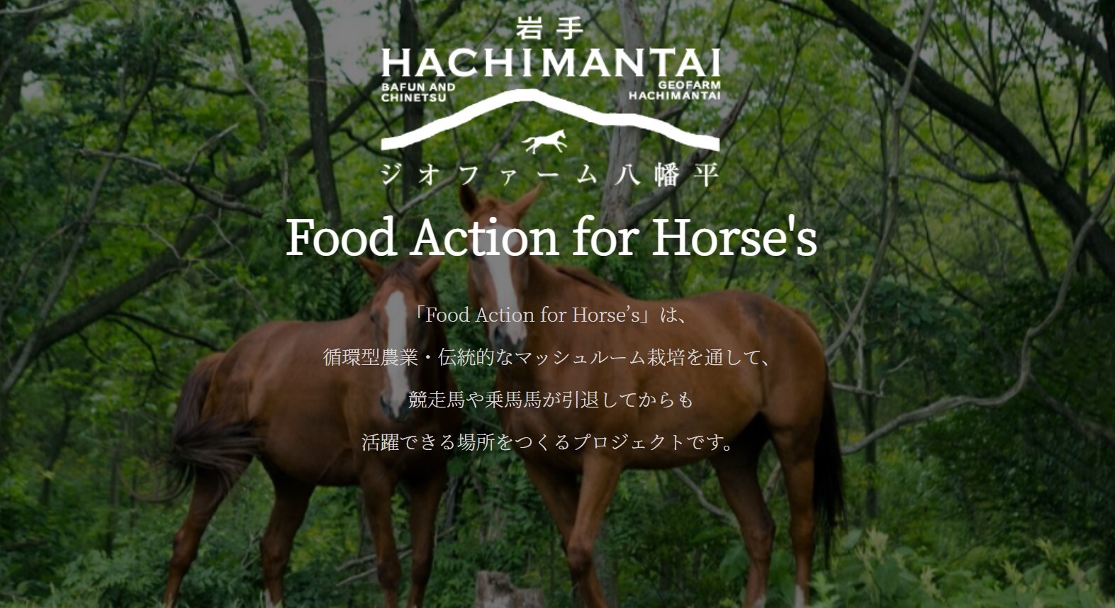 ブロックチェーン技術を活用した循環型農業と引退競走馬支援プロジェクト「Food Action for Horse&#039;s」