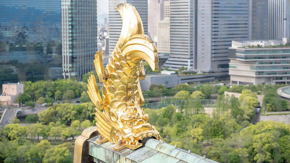<今日は何の日>8月22日『金シャチの日』