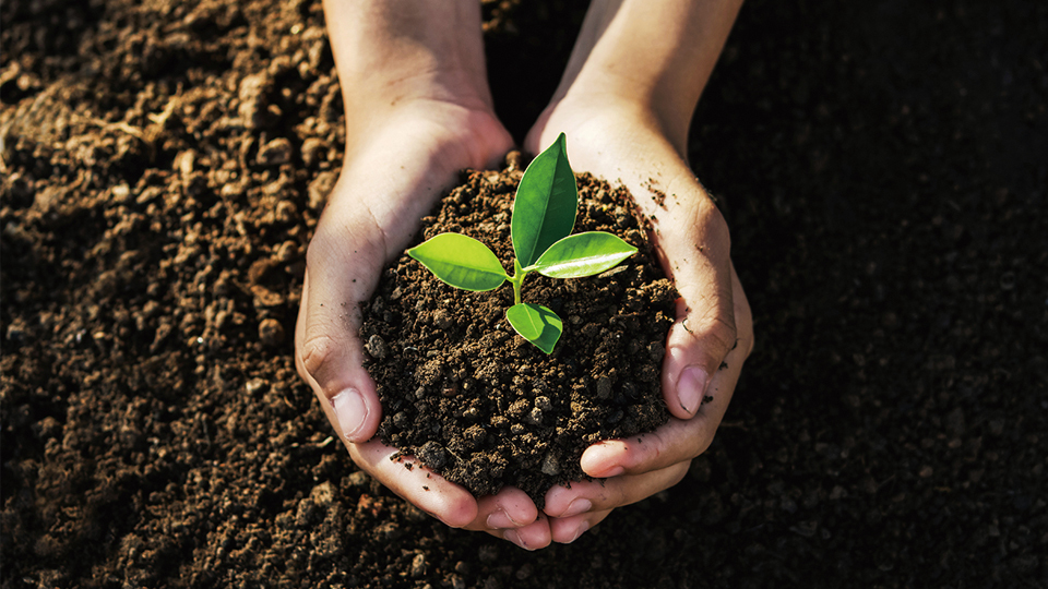 <今日は何の日>12月5日『世界土壌デー』