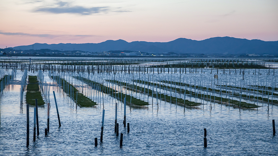 <今日は何の日>2月6日『海苔の日』