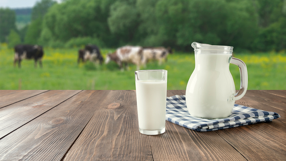 <今日は何の日>6月1日『世界牛乳の日』