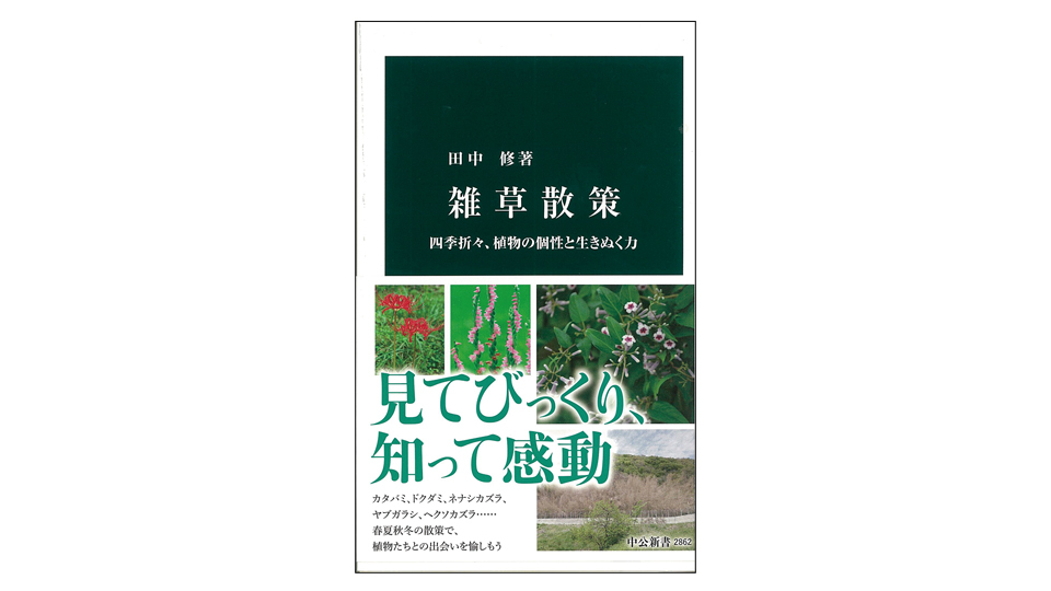 ＜BOOK REVIEW＞『雑草散策　四季折々、植物の個性と生きぬく力』