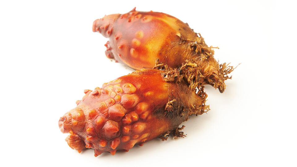 ＜今日は何の日＞4月8日「ホヤの日」