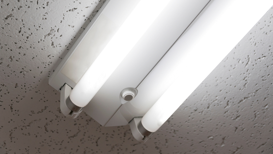 ＜今日は何の日＞5月1日「水俣病啓発の日」