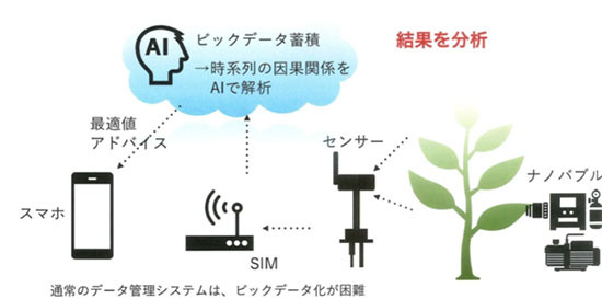 日本ibmとカクイチ スマート農業システムで連携 週刊bcn